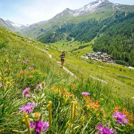 アパート Relais De Poste Centre Mont Blanc *